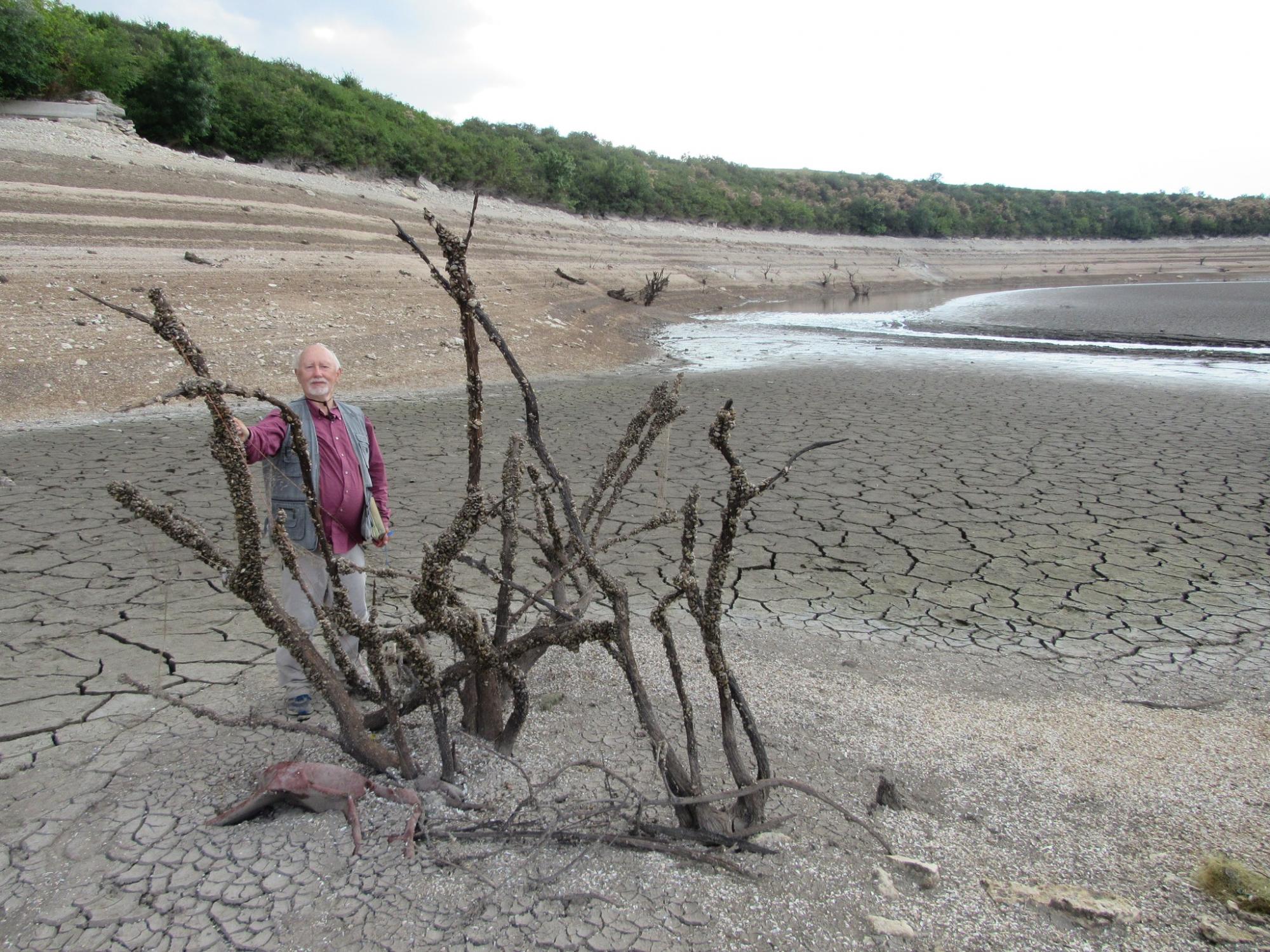 Академік Яків Дідух: Нова екосистема на Каховському водосховищі сформується за 40 років